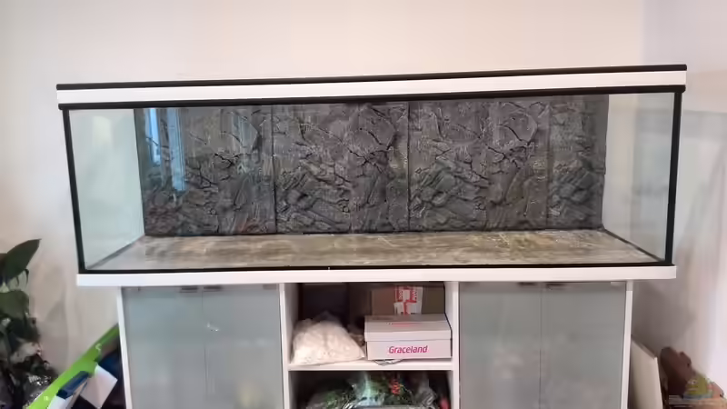 Aquarium Vom Dschungel zum Iwagumi von Vancouver2010 (4)