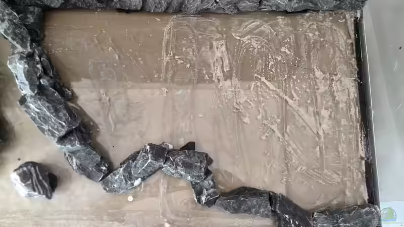 Aquarium Vom Dschungel zum Iwagumi von Vancouver2010 (5)