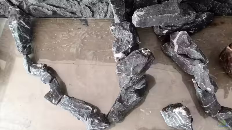 Aquarium Vom Dschungel zum Iwagumi von Vancouver2010 (6)