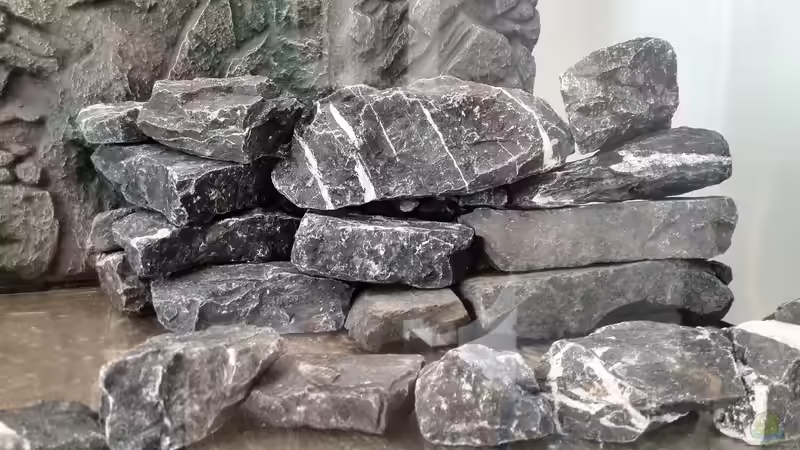 Aquarium Vom Dschungel zum Iwagumi von Vancouver2010 (9)