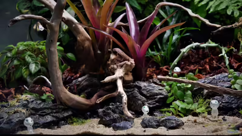 Aquarium Von Asseln und Tausendfüsslern von Junglist (2)