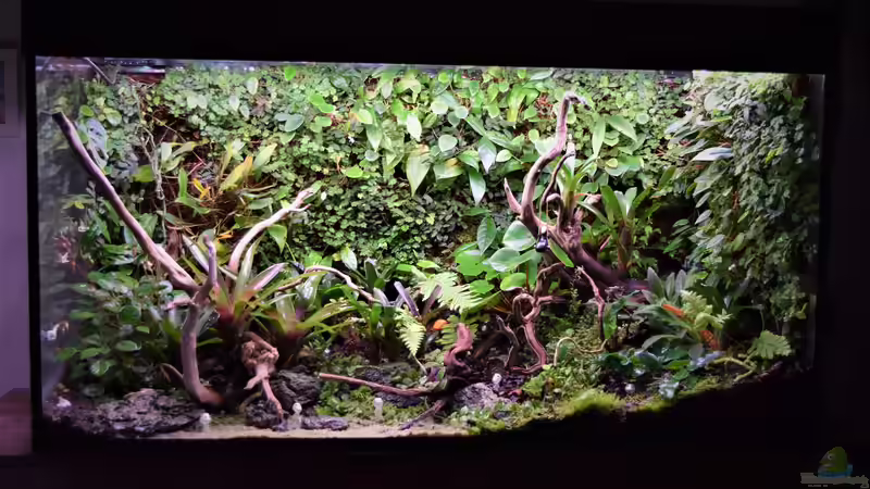 Aquarium Von Asseln und Tausendfüsslern von Junglist (8)