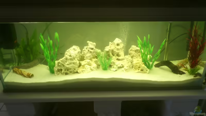 Aquarium von Baron87 (1)