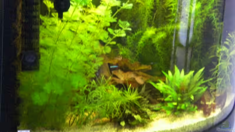 Aquarium von der linken Seite von Matthias Hage (5)