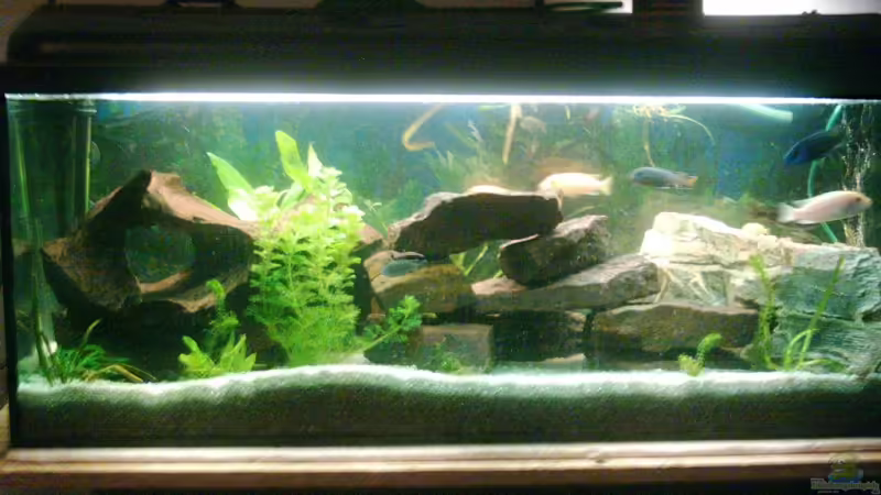 Aquarium von Dominik Färber (1)