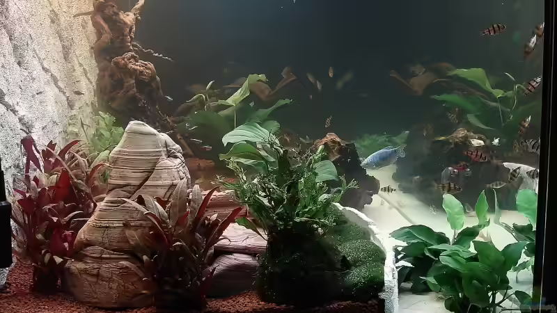 Aquarium von links von Florian Kallinger (4)