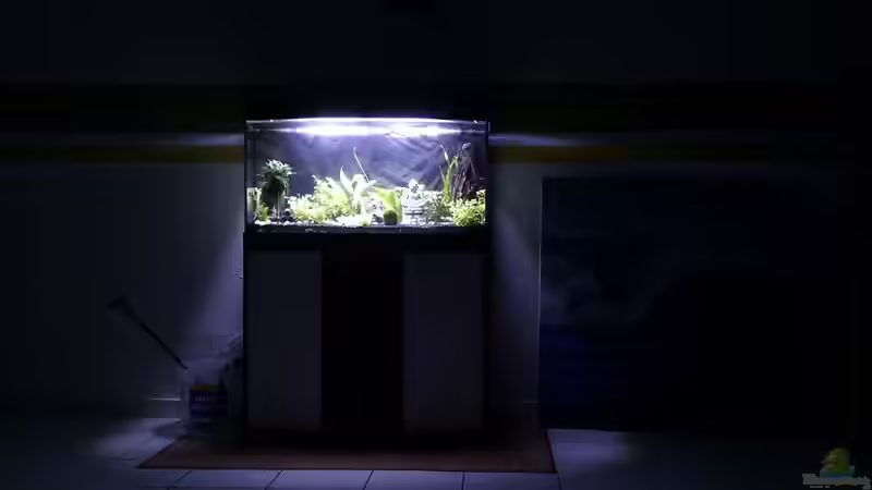 Aquarium von Migaloo (5)