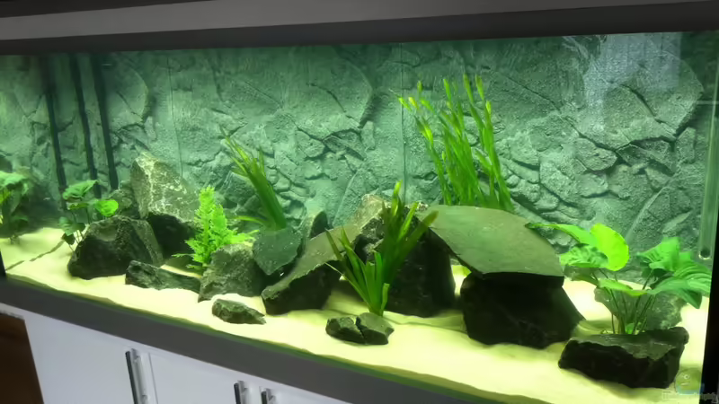 Aquarium von mikegarten007 (1)