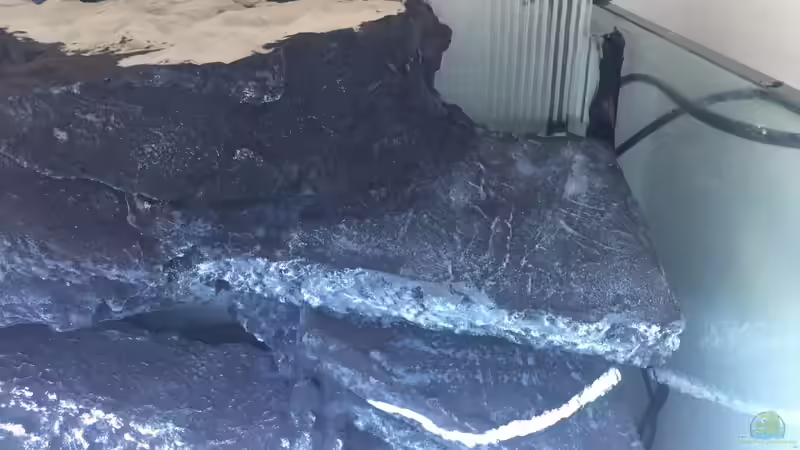 Aquarium Voralpen Afrika von Tobias Sanktjohanser (10)