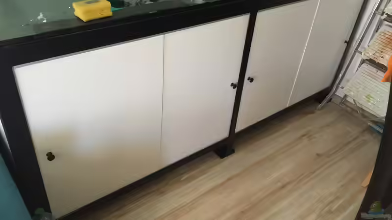 Aquarium Voralpen Afrika von Tobias Sanktjohanser (12)