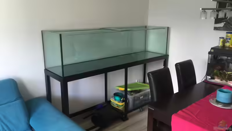 Aquarium Voralpen Afrika von Tobias Sanktjohanser (3)