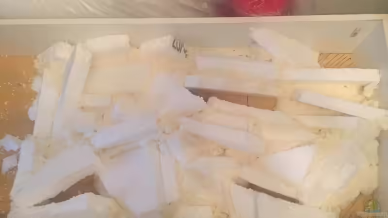 Aquarium Voralpen Afrika von Tobias Sanktjohanser (4)