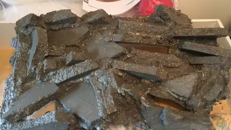 Aquarium Voralpen Afrika von Tobias Sanktjohanser (7)