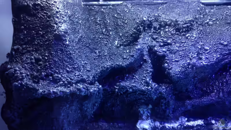 Aquarium Vulcano Reef von Thomas Schneider (2)