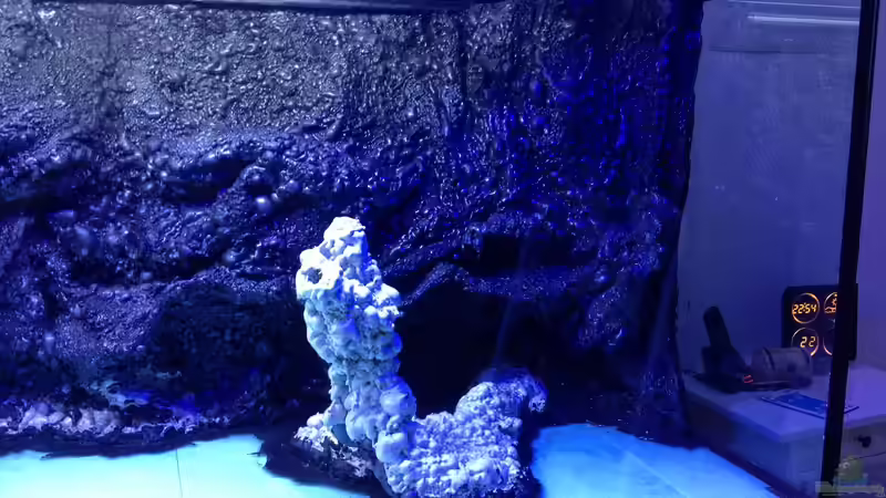 Aquarium Vulcano Reef von Thomas Schneider (4)