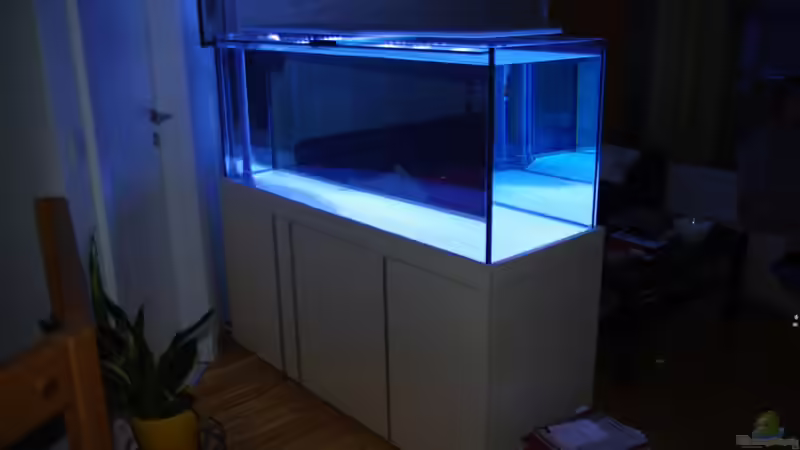 Aquarium Wartungsseite von Dominik N. (2)