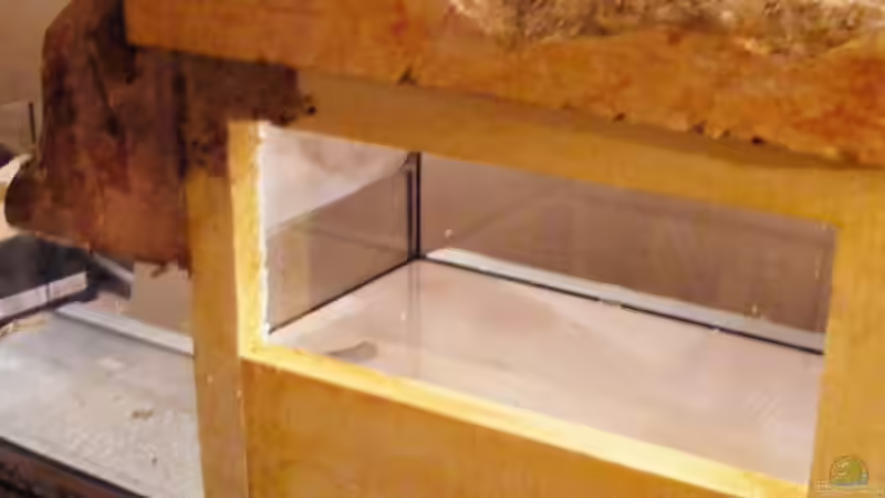 Aquarium Wasserfall-Biotop(nur noch als Beispiel) von Falk (9)