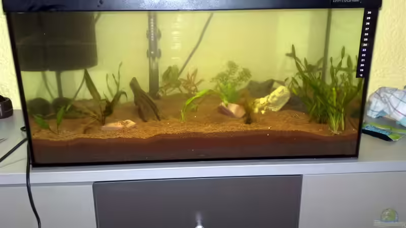 Aquarium Water Home von Tudelui (3)