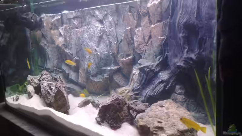 Aquarium Waterhome von Gladbacherfohlen86 (9)