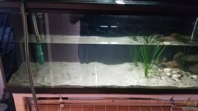 Aquarium Werk 3 von Bitman (2)