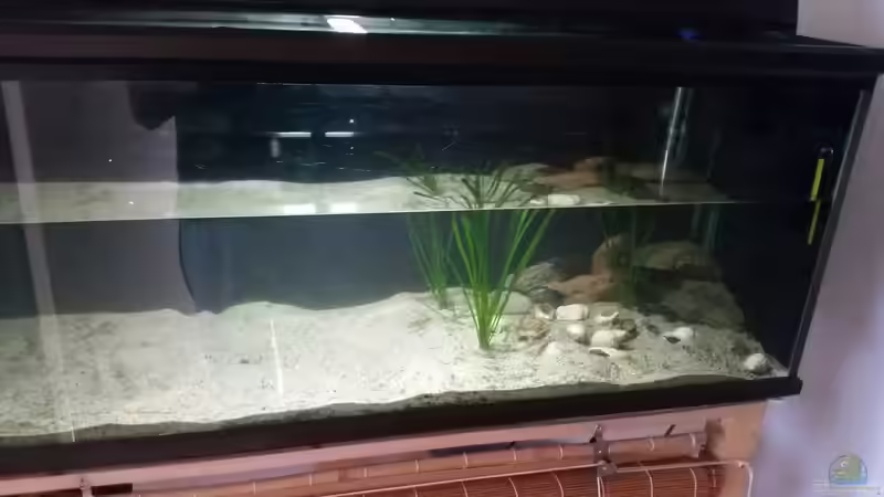 Aquarium Werk 3 von Bitman (3)