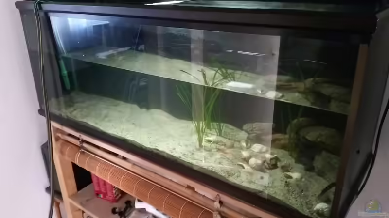 Aquarium Werk 3 von Bitman (4)