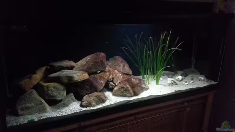 Aquarium Werk 3 von Bitman (6)