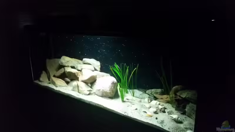 Aquarium Werk 3 von Bitman (8)