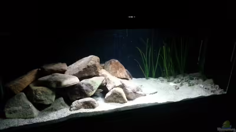 Aquarium Werk 3 von Bitman (9)