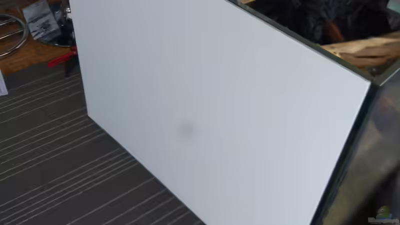 Aquarium West- Zentralafrika in Aachen von Tiburón (5)