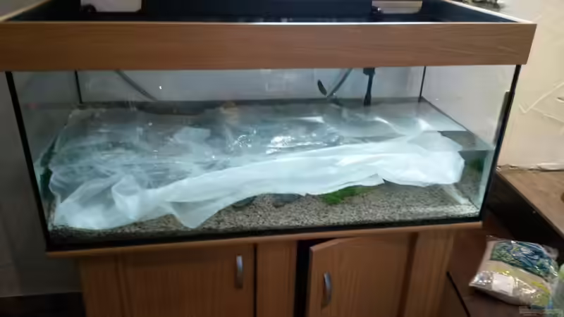 Aquarium wild stones and plants von Dreadnought (3)