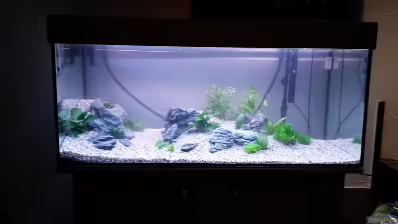 Aquarium wild stones and plants von Dreadnought (4)
