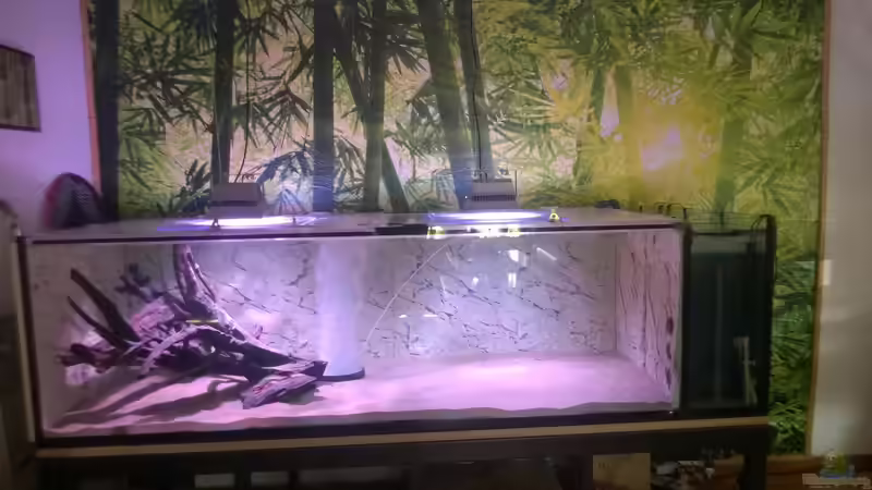 Aquarium Wildes Wohnzimmer ( Nur noch als Beispiel) von Leo-FAN (10)