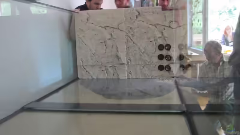 Aquarium Wildes Wohnzimmer ( Nur noch als Beispiel) von Leo-FAN (7)