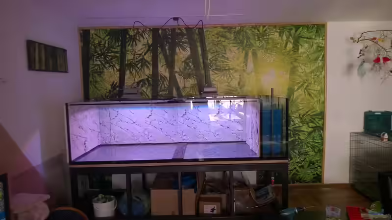 Aquarium Wildes Wohnzimmer ( Nur noch als Beispiel) von Leo-FAN (9)