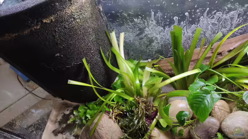 Aquarium Wohnzimmer Vers. 2 von SoSi (4)