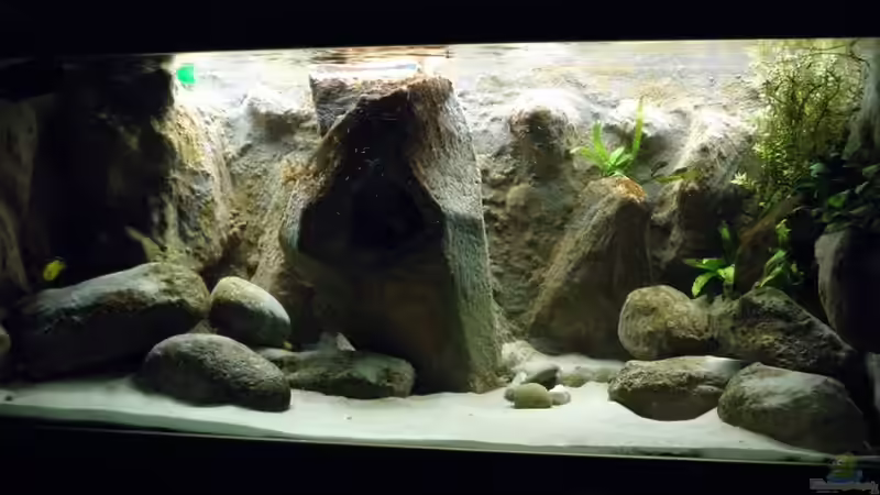 Aquarium Yellowhome von Franek (3)