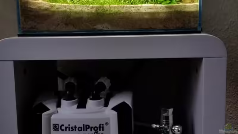 Aquarium Zen Artist von Hanni Zosel (7)