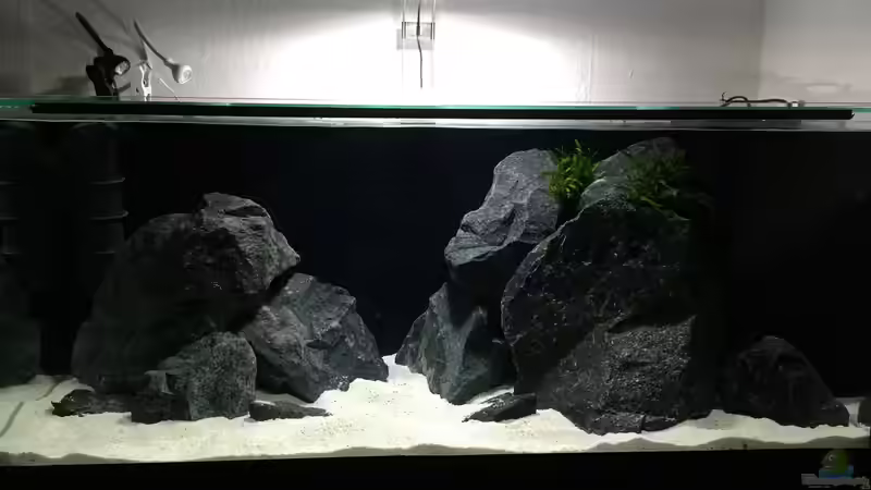 Aquarium Zweiter Versuch von Strohhut. (2)