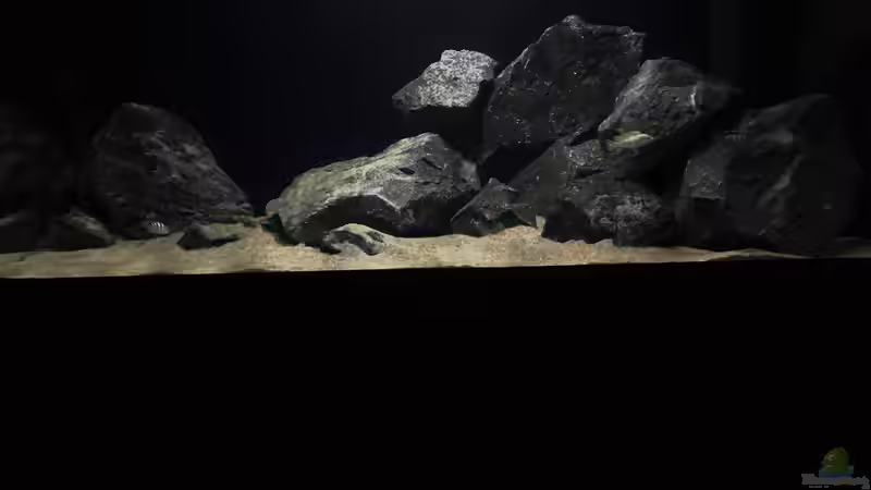 Aquarium Zweiter Versuch von Strohhut. (5)