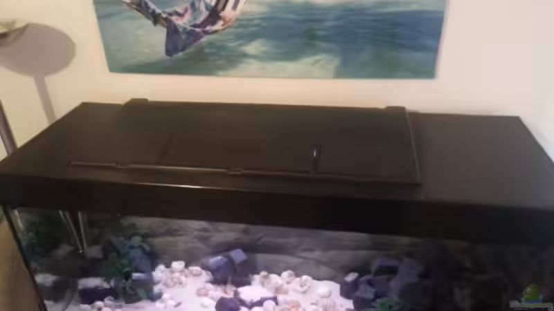 Aquariumabdeckung Marke Eigenbau von Daniel Kastner (17)