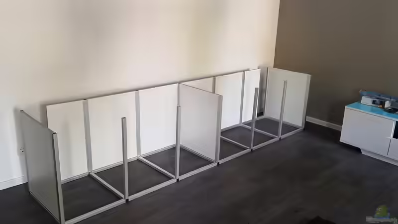 Aquariumbau: Wann eine Sonderanfertigung Sinn macht