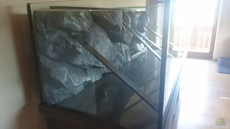 Aquariumbau: Wann eine Sonderanfertigung Sinn macht