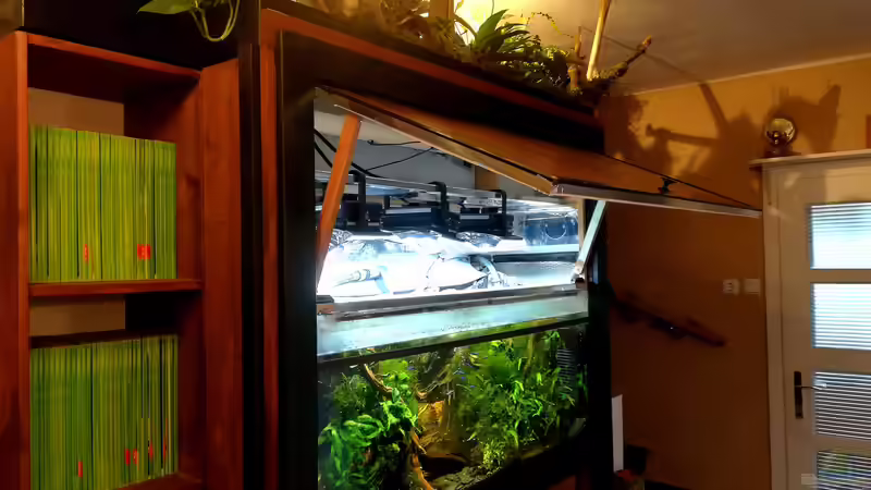 Aquariumdeckel geöffnet  von Bermuda 3eck (39)