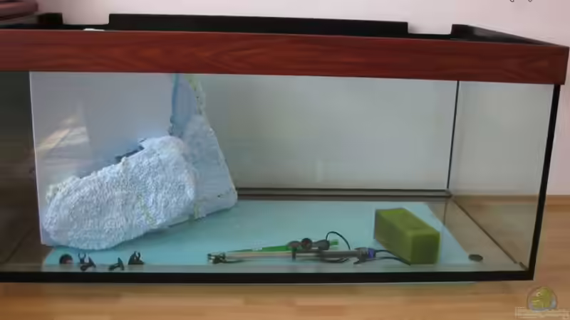 Aquariumhintergrund von martin4ever (12)