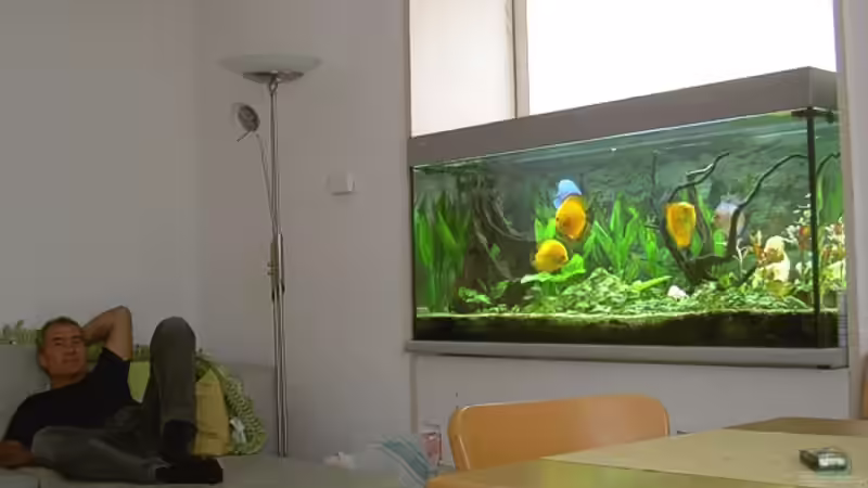 Aquariumrelex von Kurt Kastl (4)