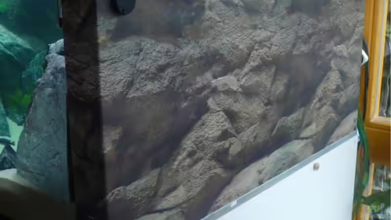 aquariumrückseite beklebt mit Folie  von Hedylein (8)