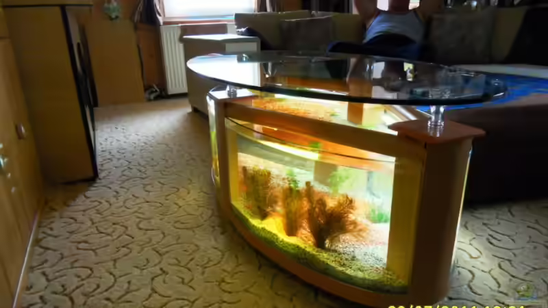 Aquariumtisch von Ulrich Sauerhering (21)