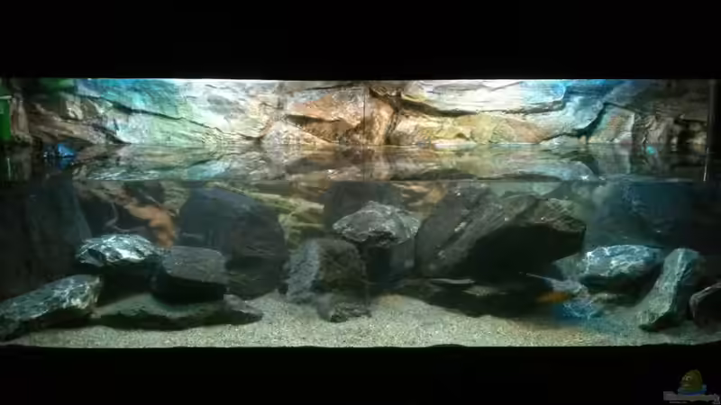Aquascaping beendet,Wasser marsch.. von Bitman (4)
