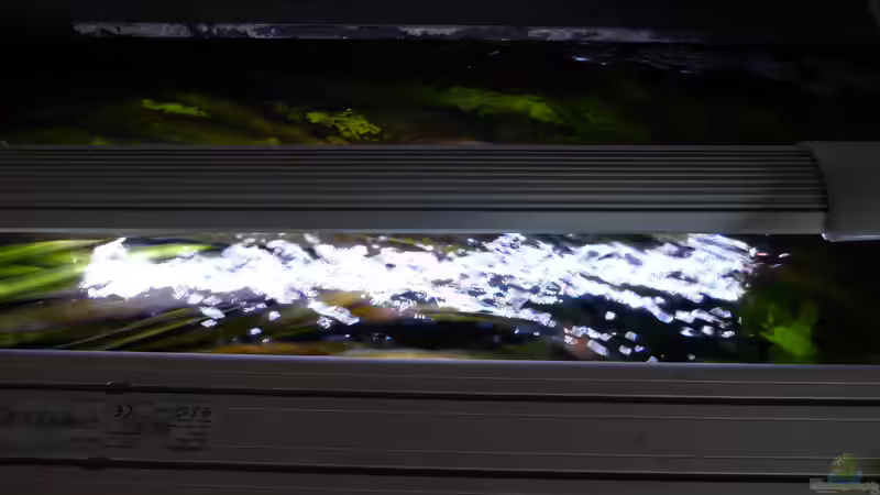Aquatlantis EasyLed 24 Watt von Blackwater (10)